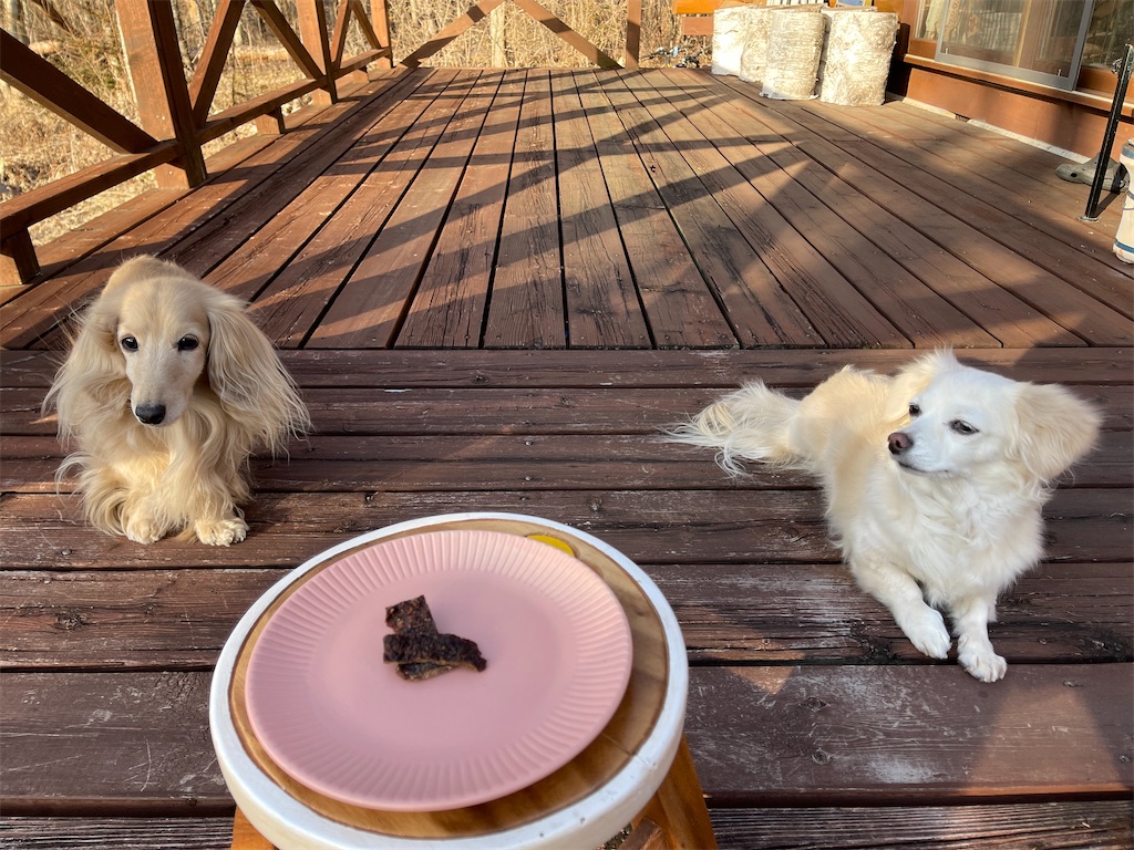 f:id:captaindog082:20210227172524j:image