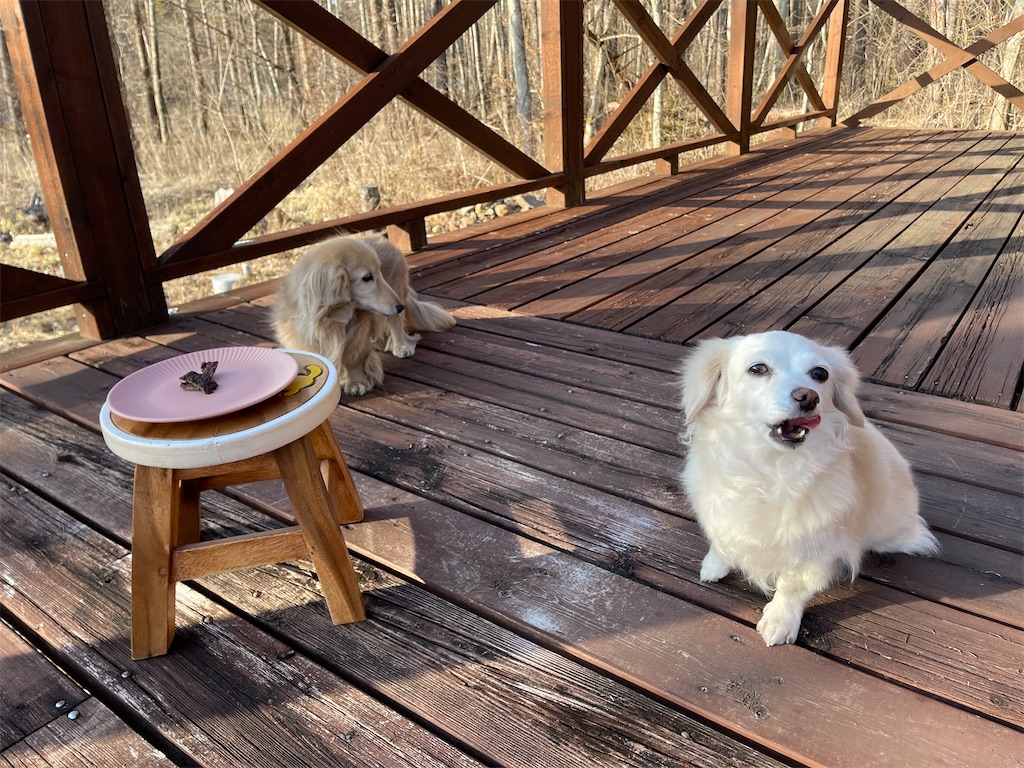 f:id:captaindog082:20210227172529j:image