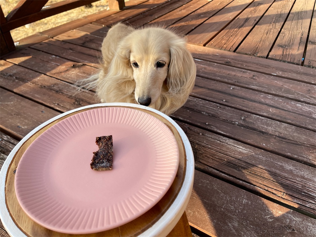 f:id:captaindog082:20210227172538j:image