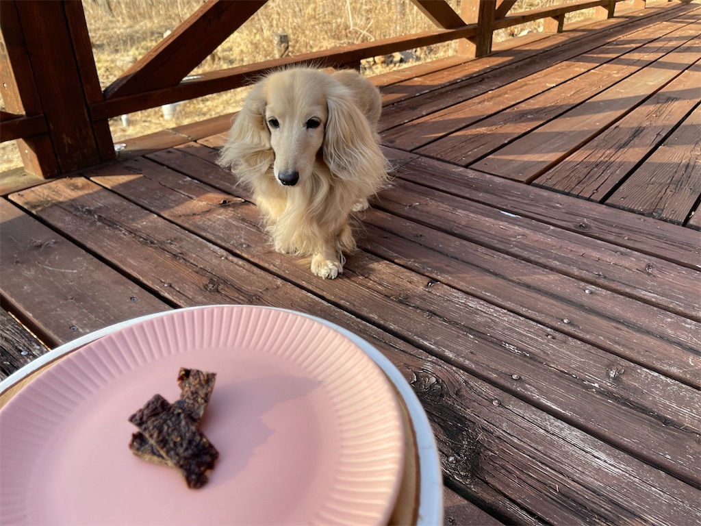 f:id:captaindog082:20210227172542j:image