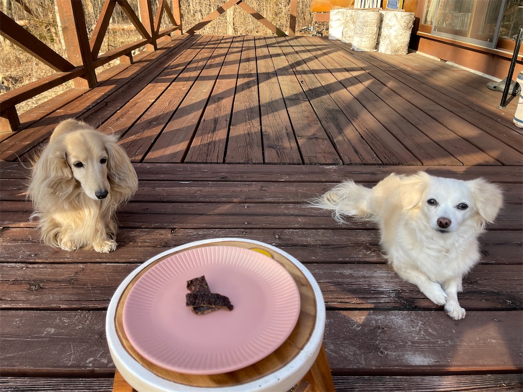 f:id:captaindog082:20210227172550j:image