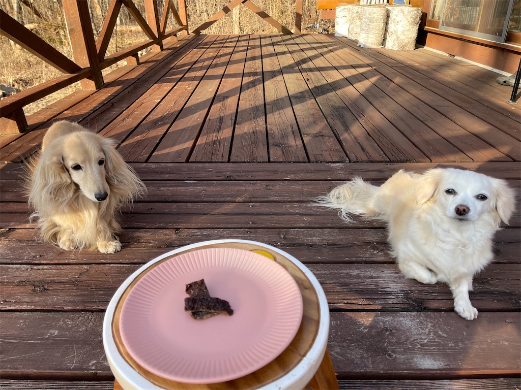 f:id:captaindog082:20210227172555j:image