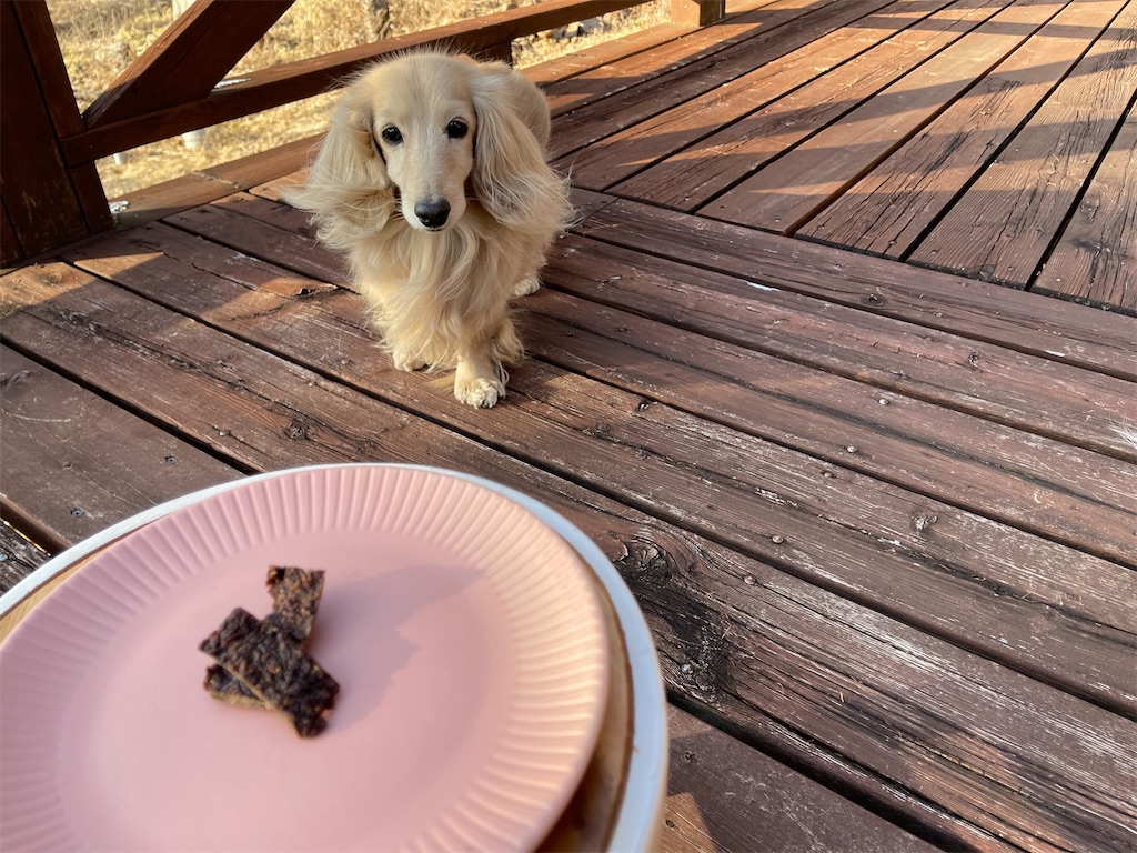 f:id:captaindog082:20210227172559j:image