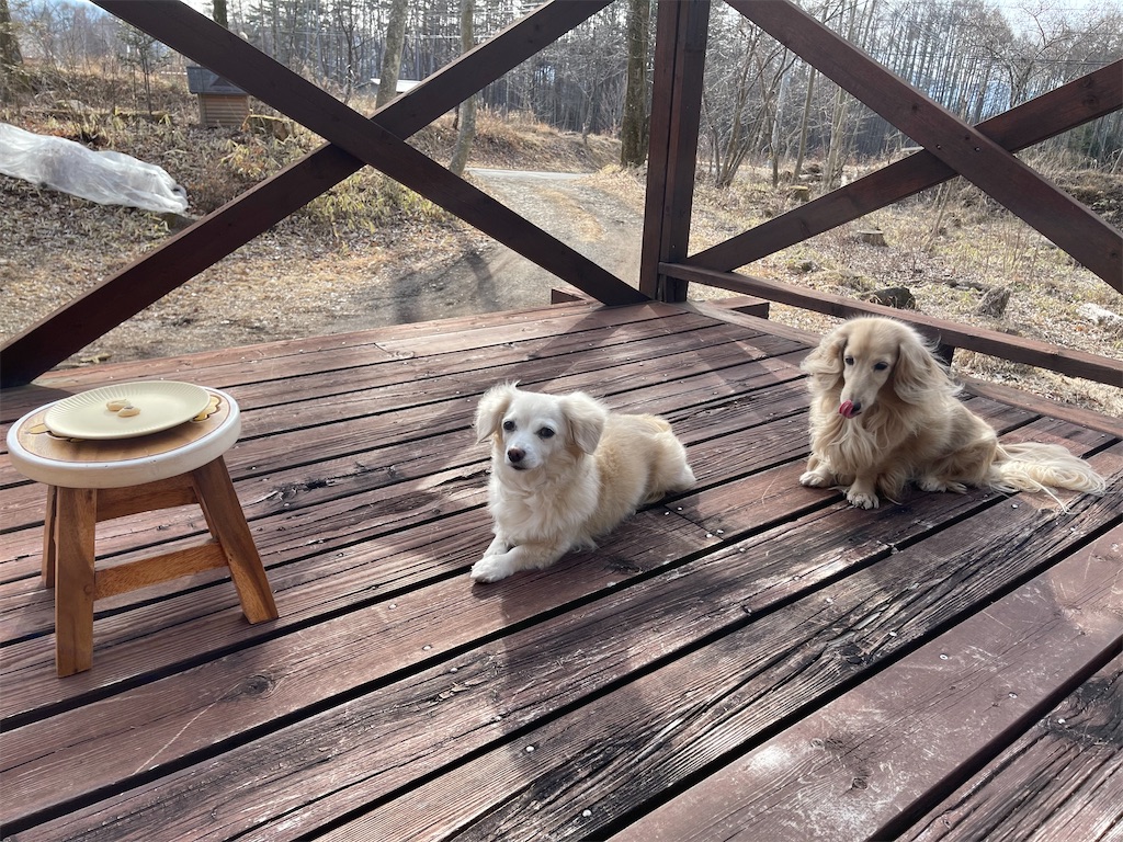 f:id:captaindog082:20210301180717j:image