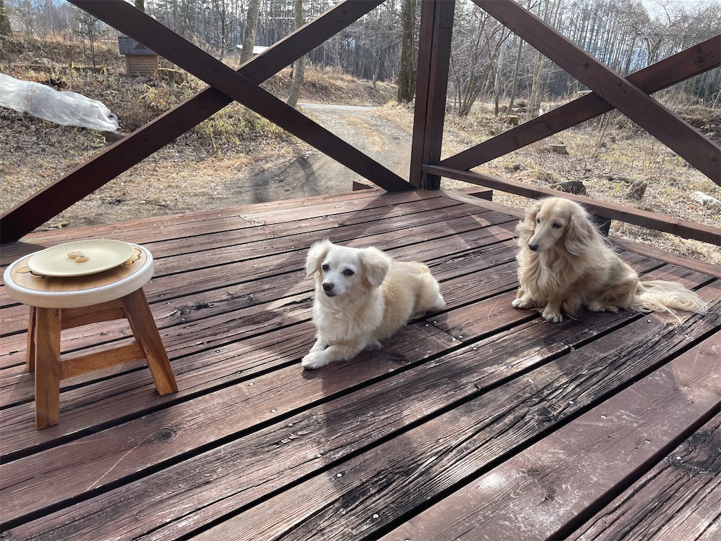 f:id:captaindog082:20210301180800j:image