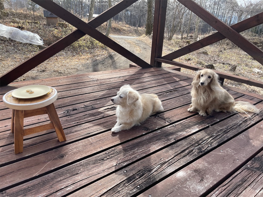 f:id:captaindog082:20210301180805j:image