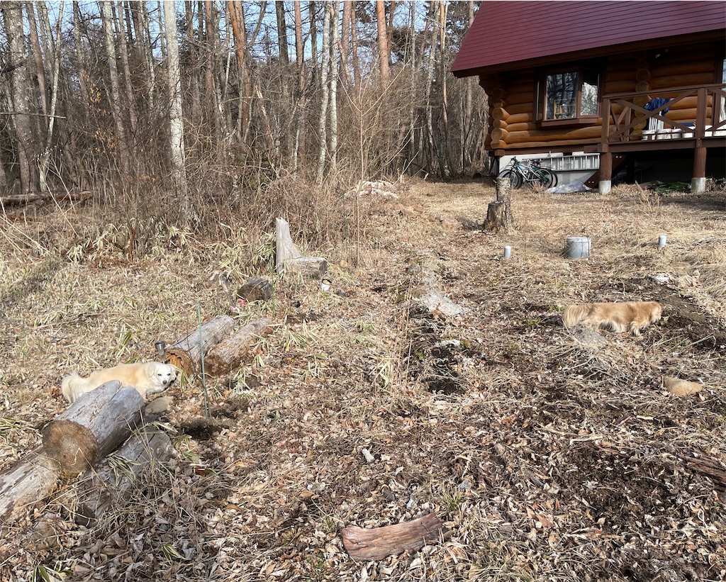 f:id:captaindog082:20210301210153j:image