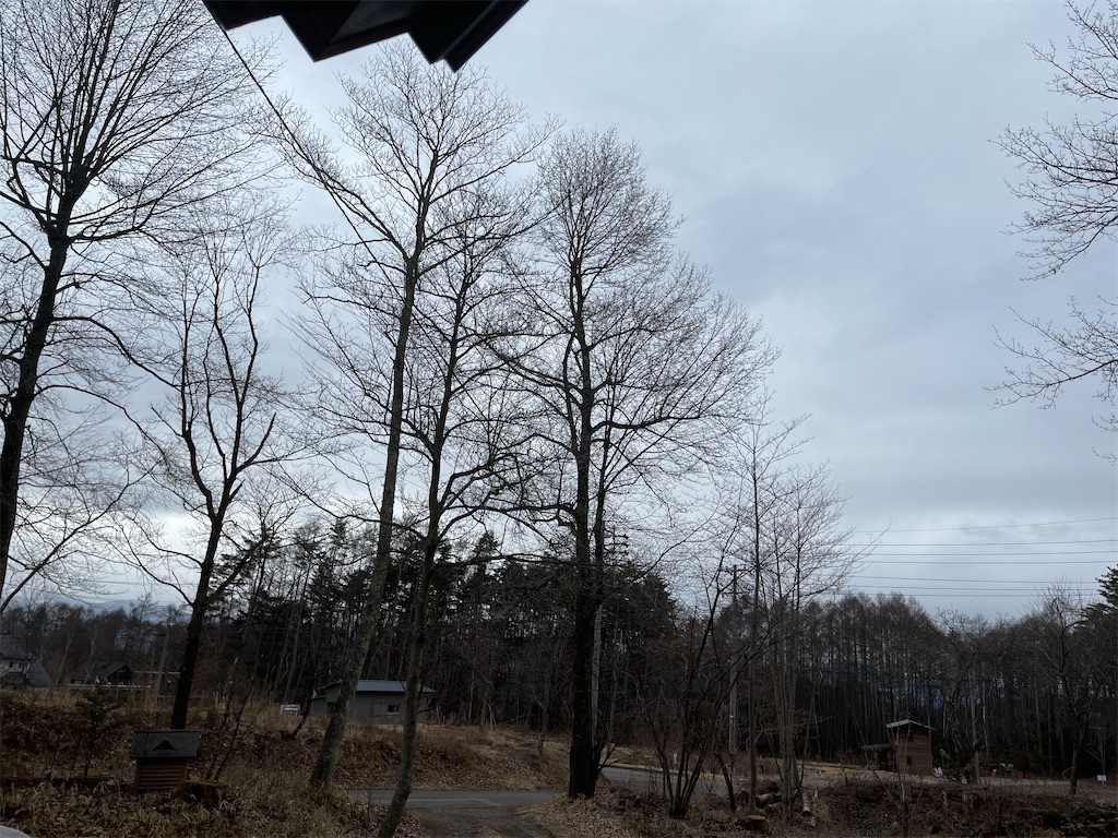f:id:captaindog082:20210305132528j:image