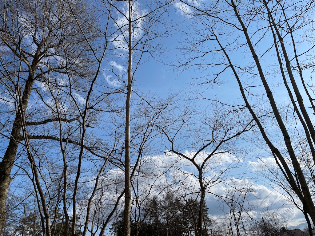 f:id:captaindog082:20210307193229j:image