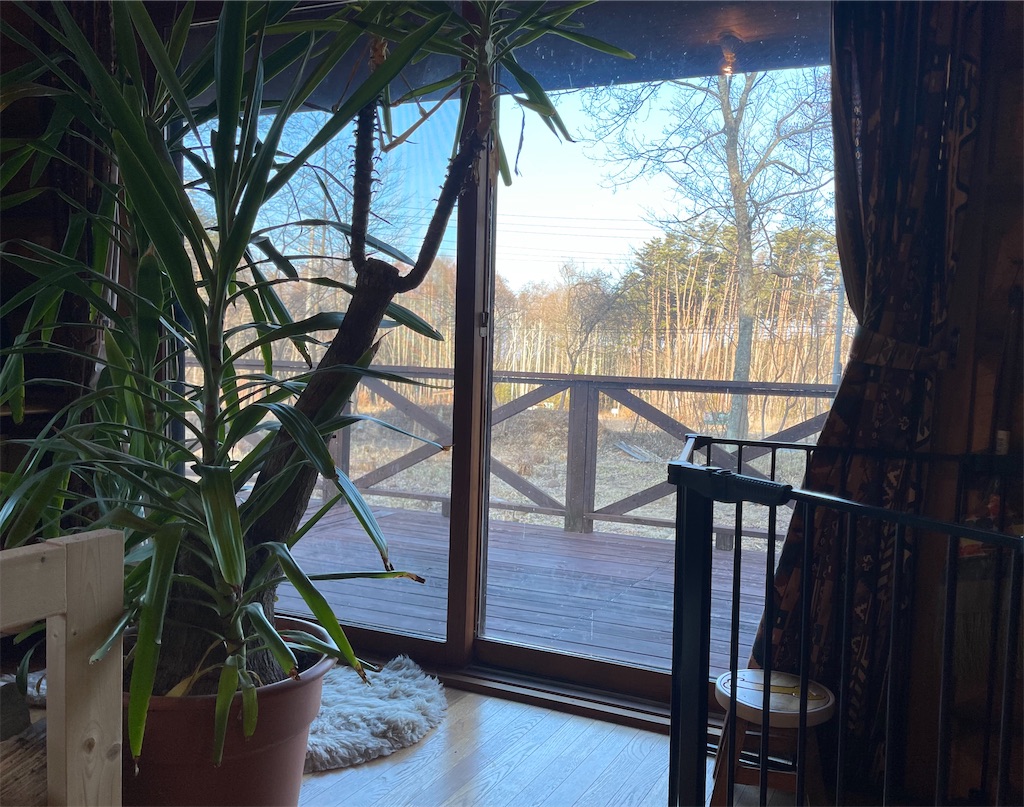 f:id:captaindog082:20210310112615j:image