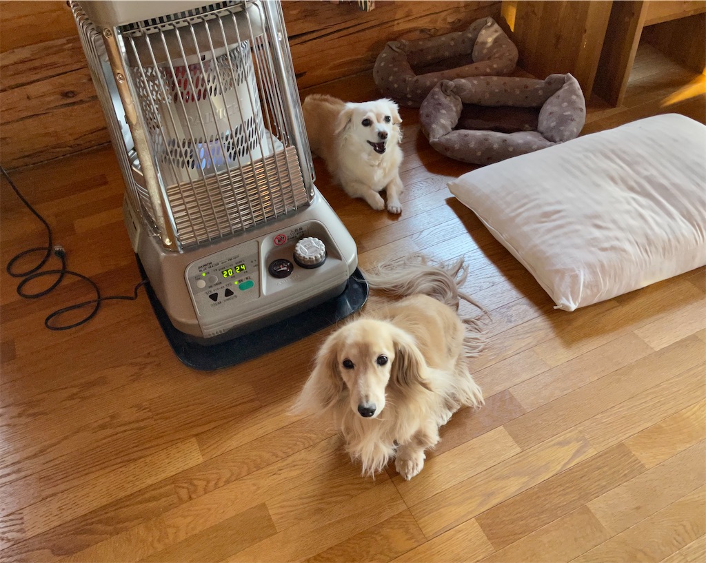 f:id:captaindog082:20210316080449j:image