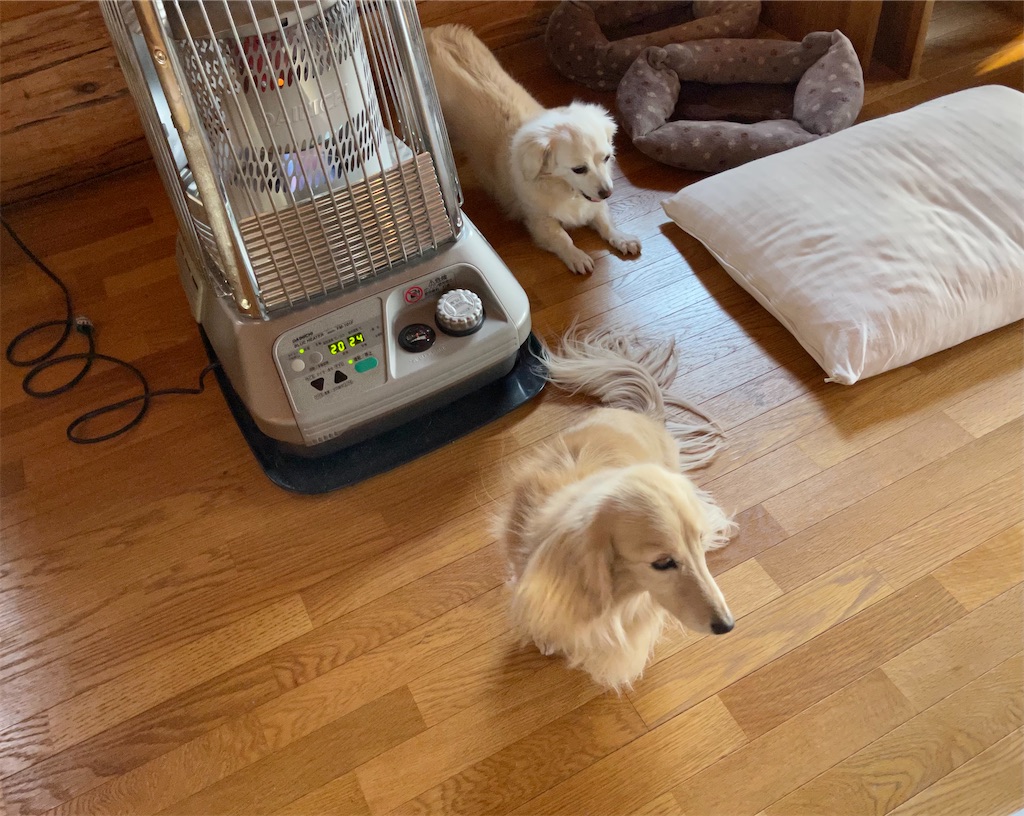 f:id:captaindog082:20210316080452j:image