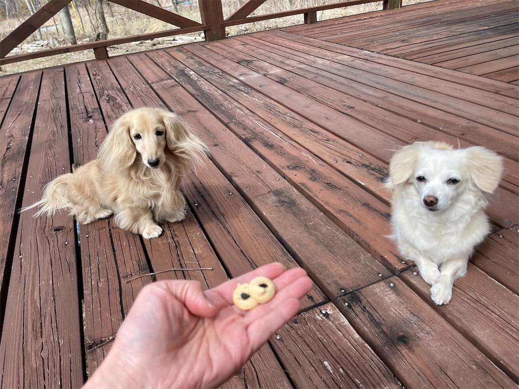 f:id:captaindog082:20210316142424j:image