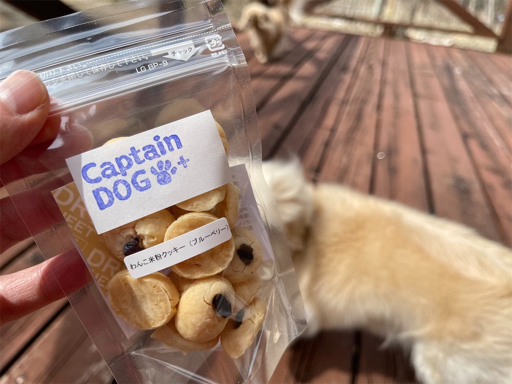 f:id:captaindog082:20210316142440j:image