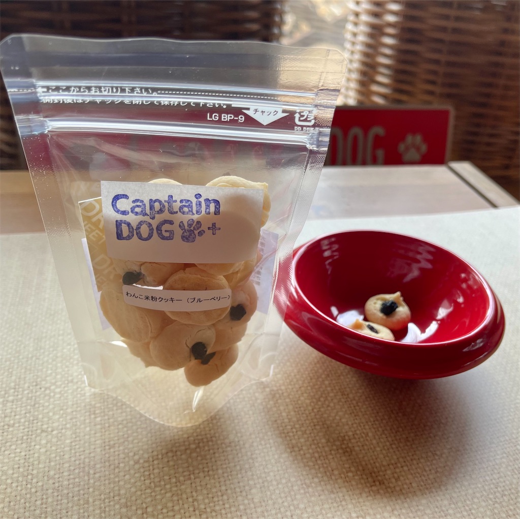 f:id:captaindog082:20210316142446j:image