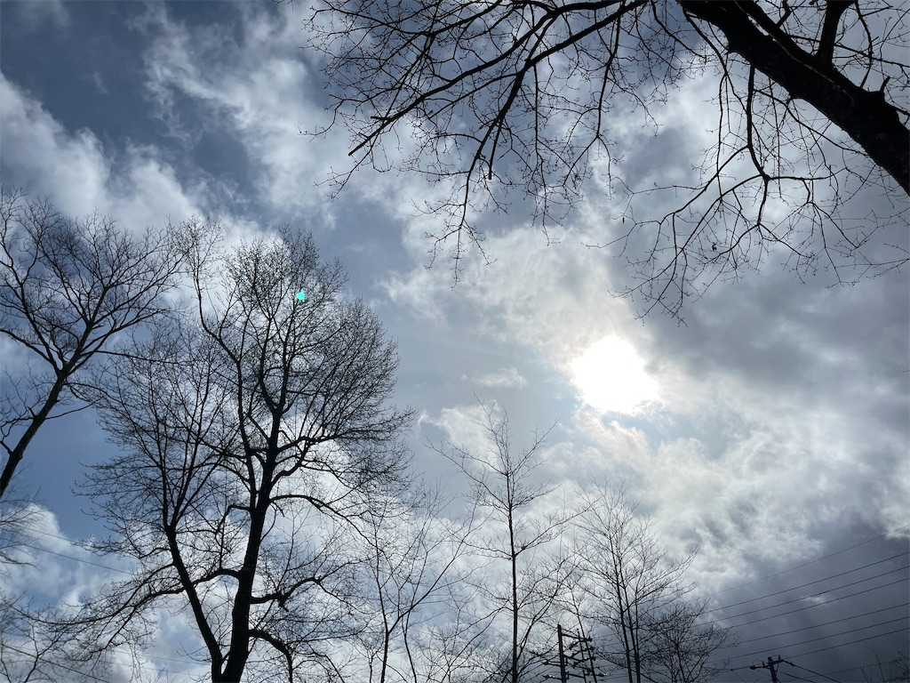 f:id:captaindog082:20210316222319j:image