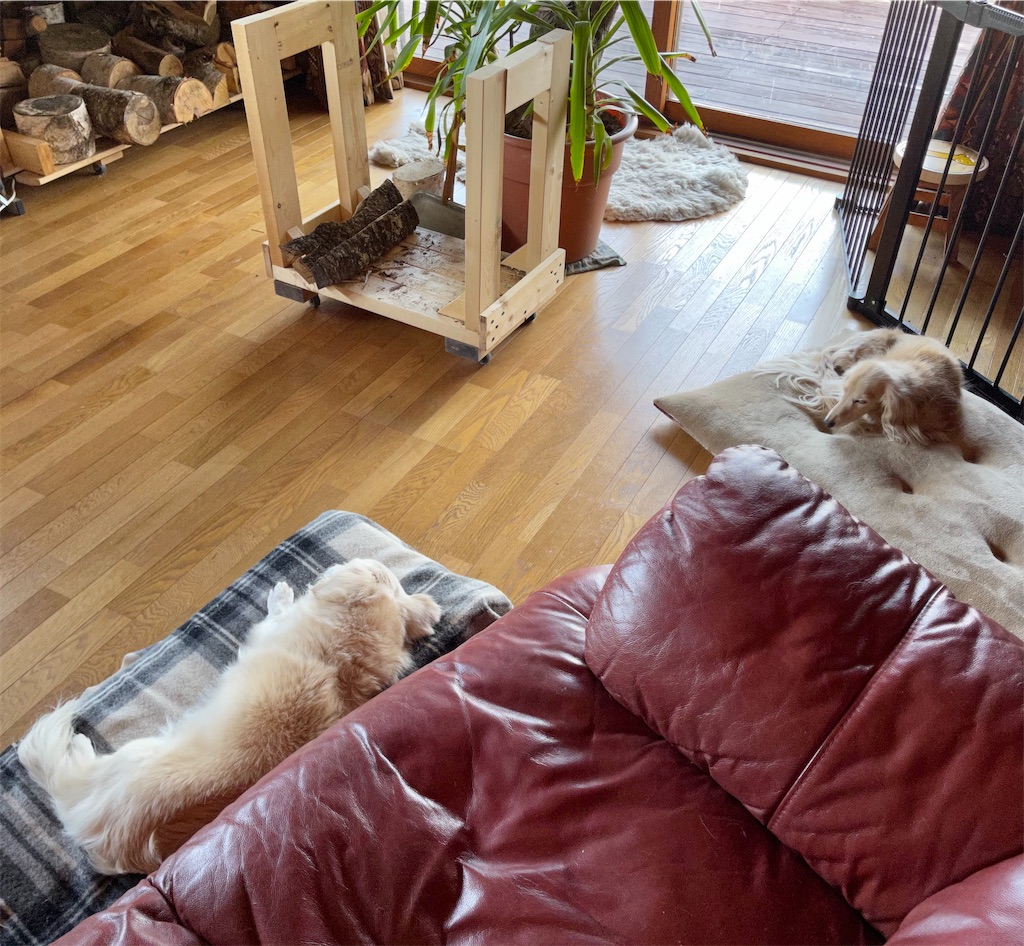 f:id:captaindog082:20210319084507j:image