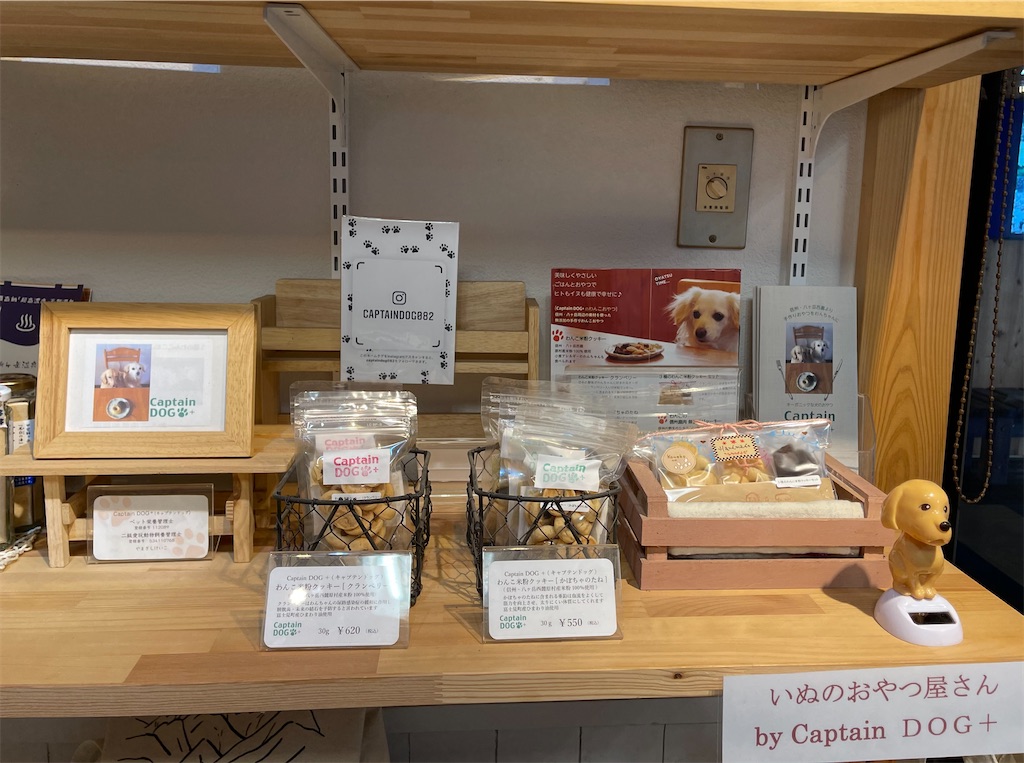 f:id:captaindog082:20210320171845j:image f:id:captaindog082:20210320171845j:image