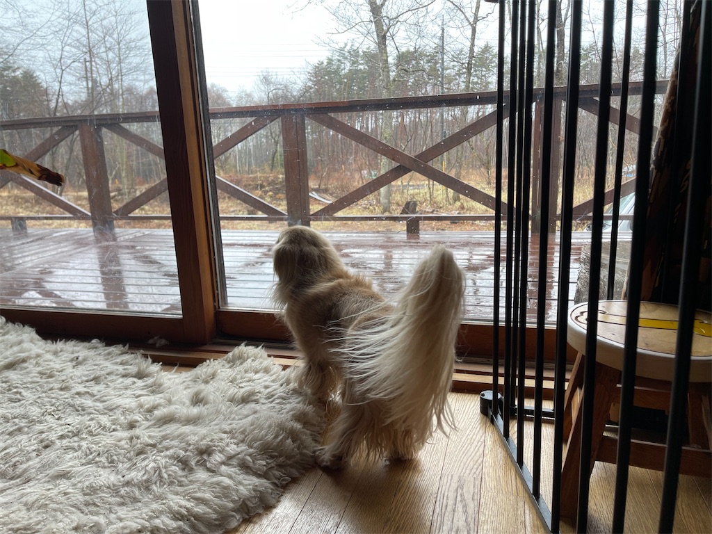 f:id:captaindog082:20210321081104j:image