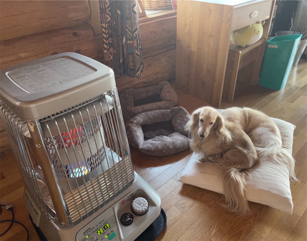 f:id:captaindog082:20210327113314j:image