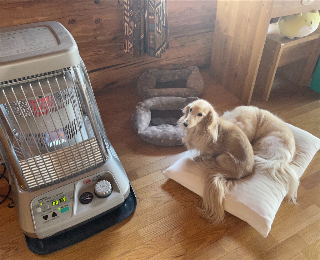 f:id:captaindog082:20210327113322j:image