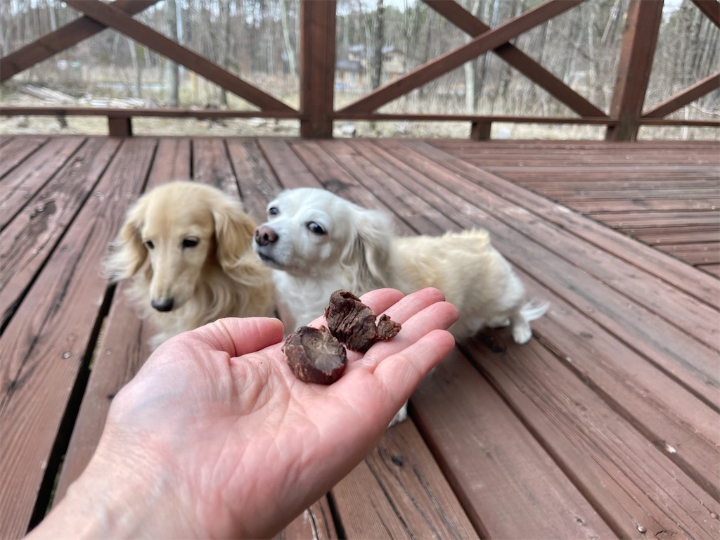 f:id:captaindog082:20210330203517j:image f:id:captaindog082:20210330203517j:image