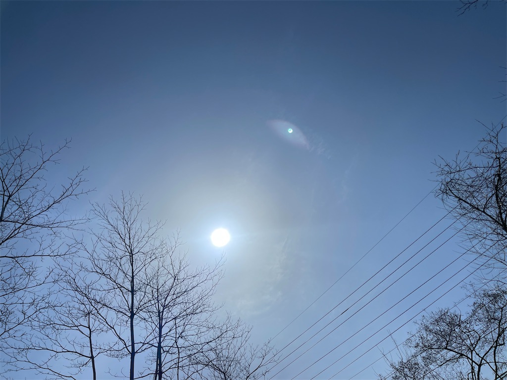 f:id:captaindog082:20210401225312j:image