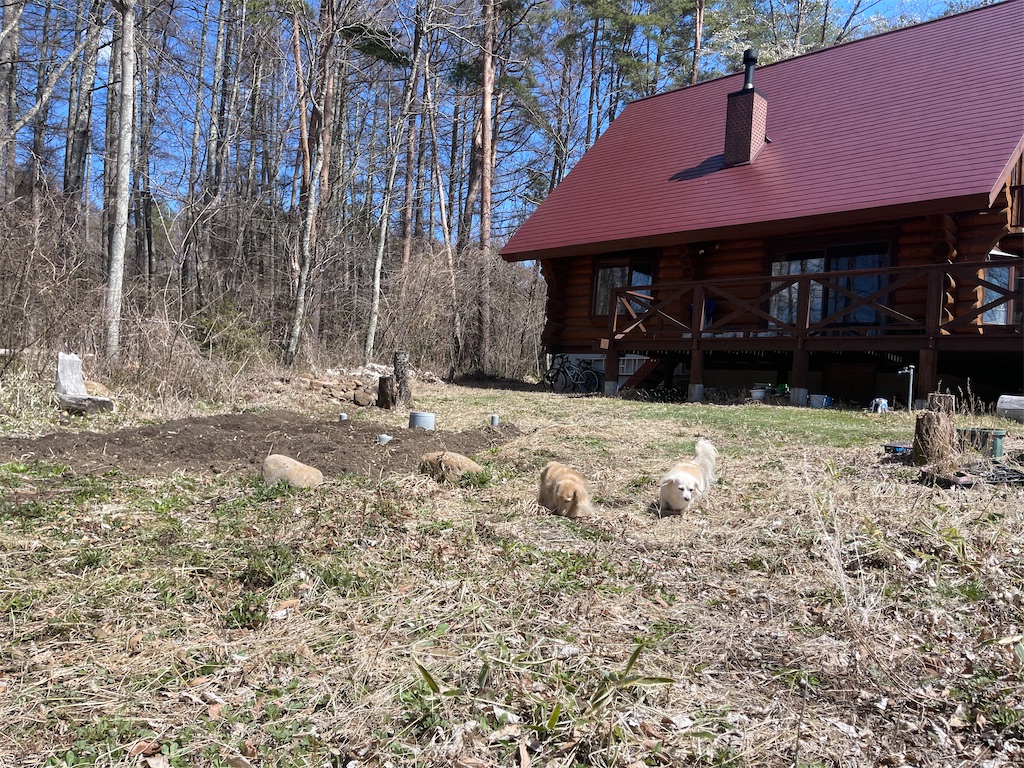 f:id:captaindog082:20210407140826j:image