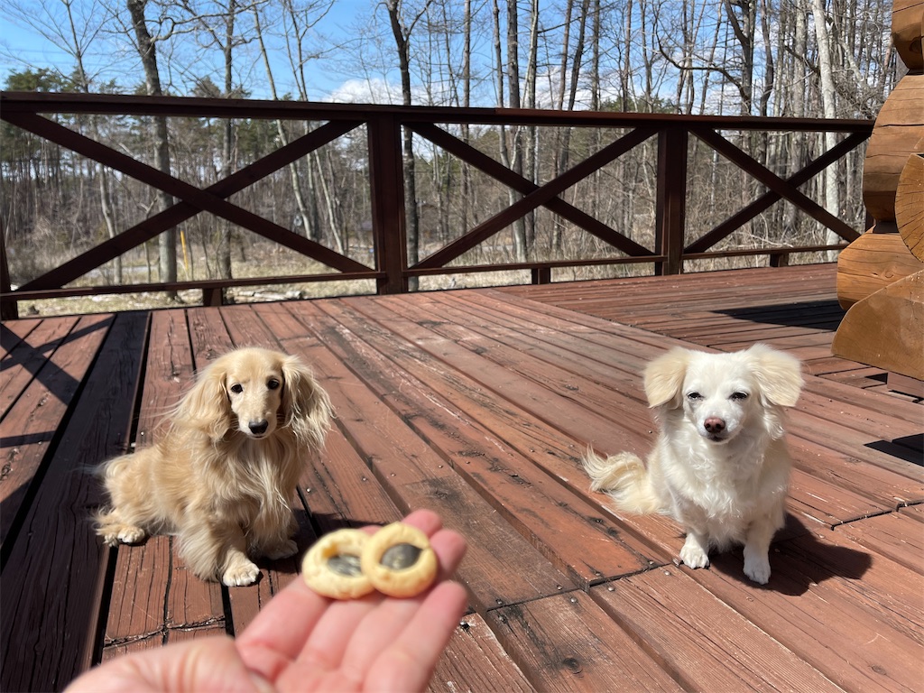 f:id:captaindog082:20210409133026j:image