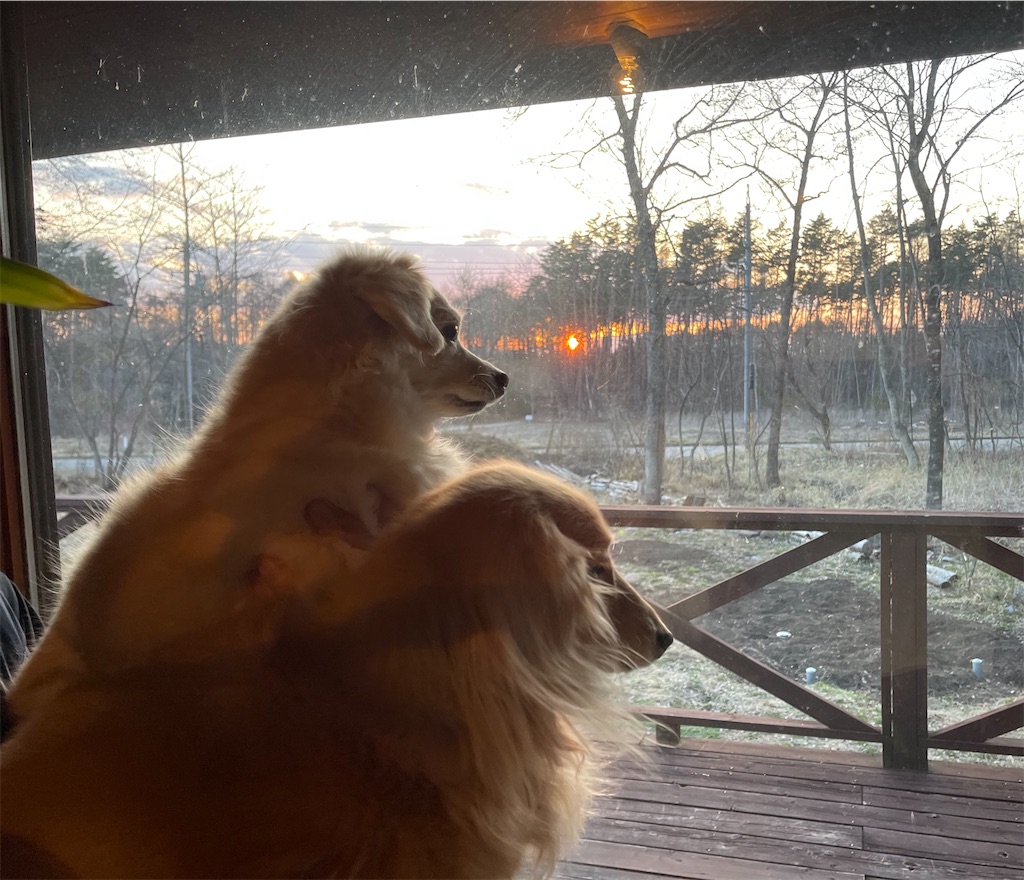 f:id:captaindog082:20210411212357j:image