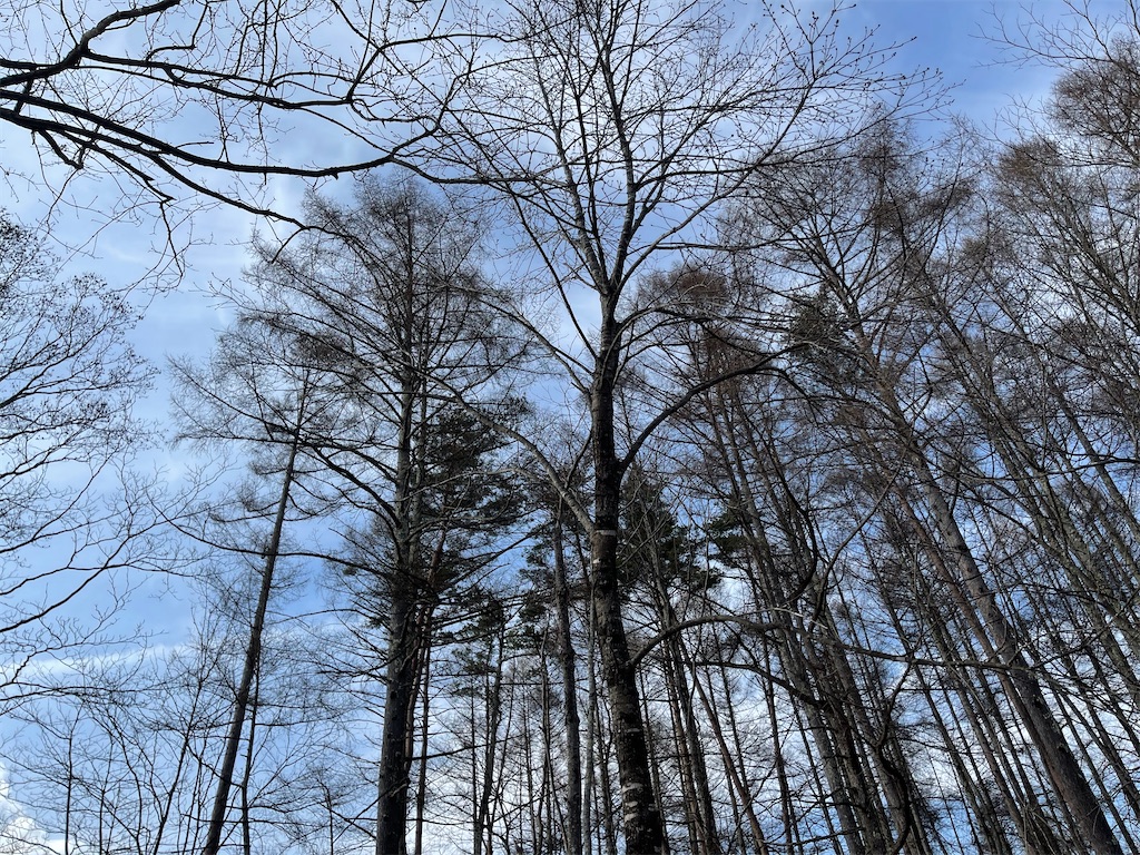 f:id:captaindog082:20210412192801j:image