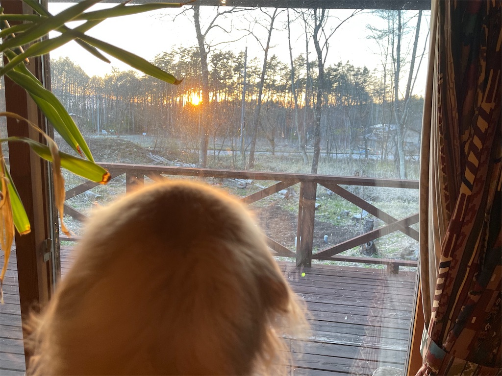 f:id:captaindog082:20210422214948j:image