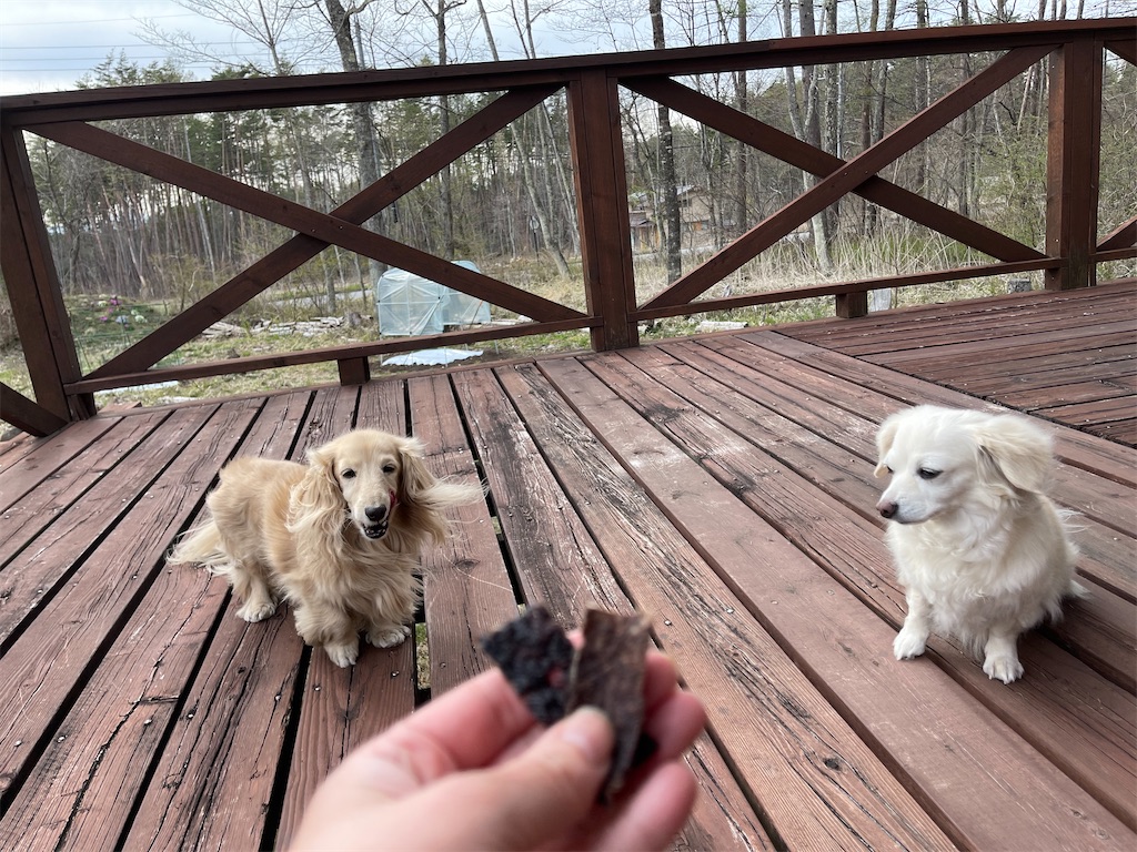 f:id:captaindog082:20210427223737j:image