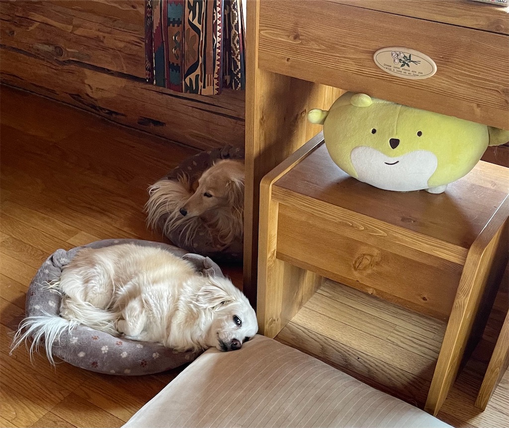 f:id:captaindog082:20210429111531j:image