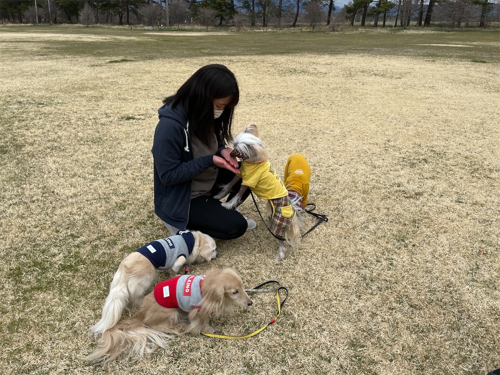 f:id:captaindog082:20210429155800j:image