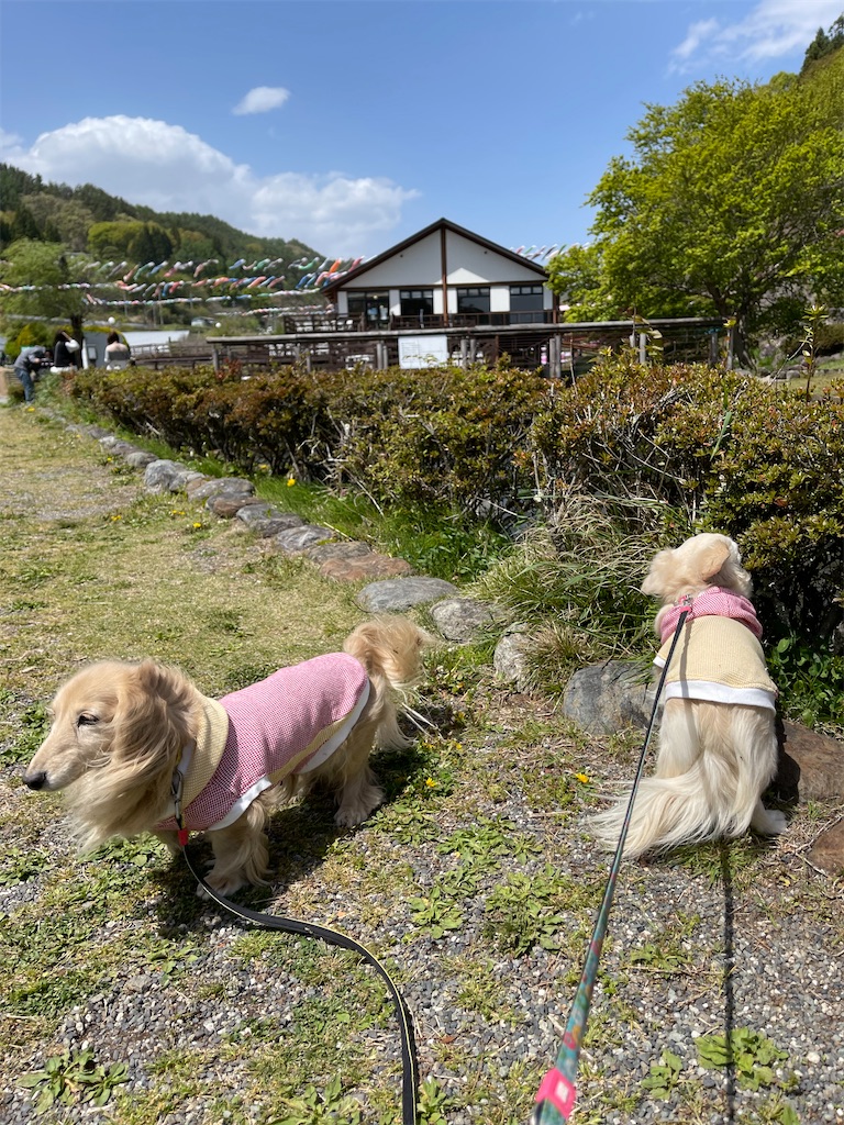 f:id:captaindog082:20210430170833j:image