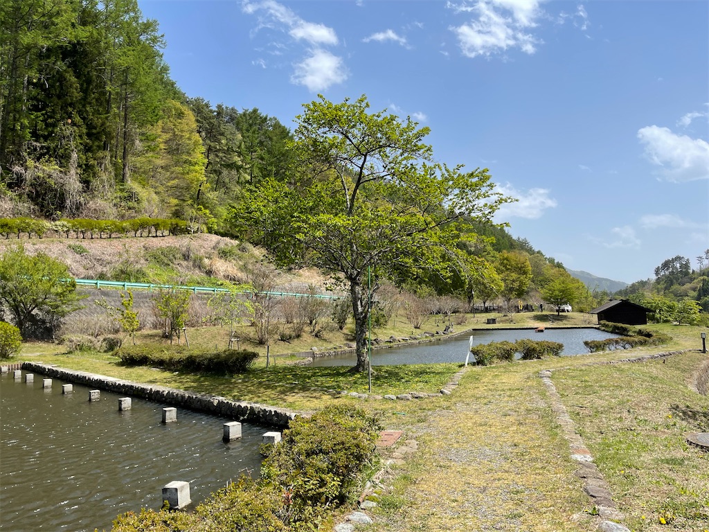 f:id:captaindog082:20210430170837j:image