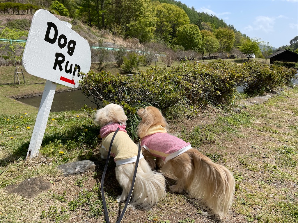 f:id:captaindog082:20210430170842j:image