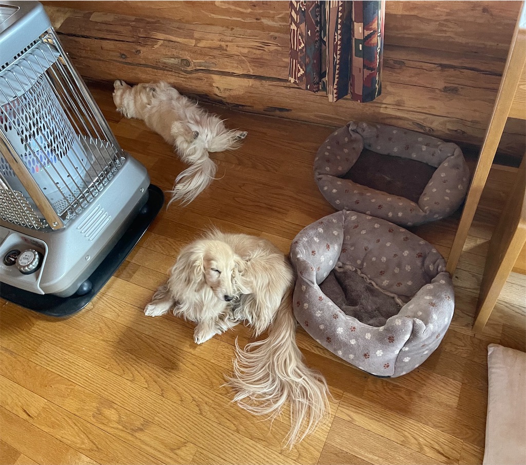 f:id:captaindog082:20210501090902j:image f:id:captaindog082:20210501090902j:image