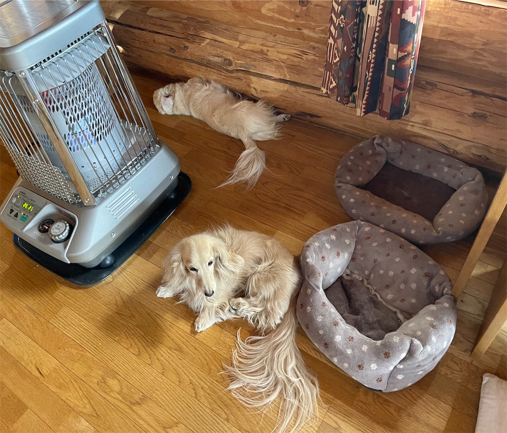 f:id:captaindog082:20210501090906j:image f:id:captaindog082:20210501090906j:image