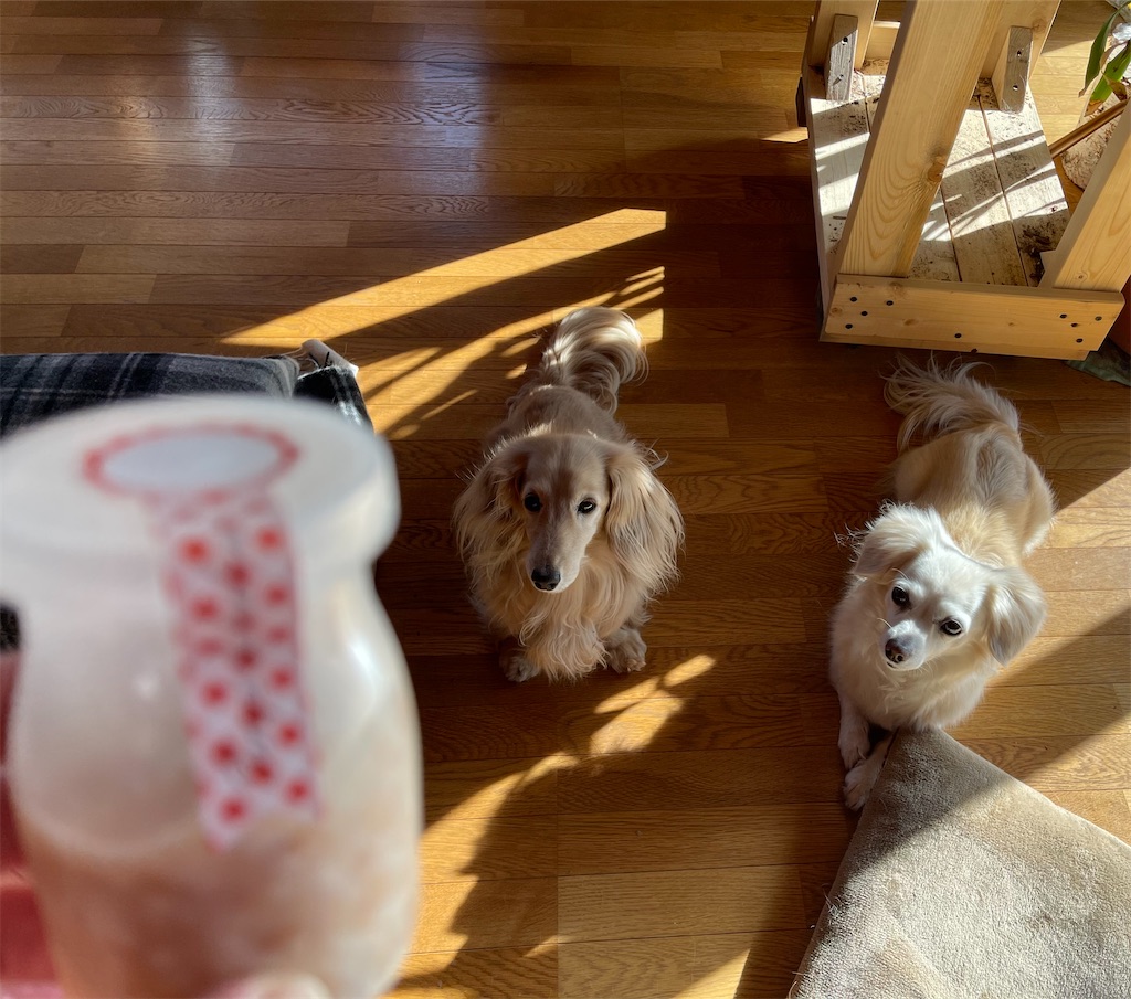 f:id:captaindog082:20210507172142j:image