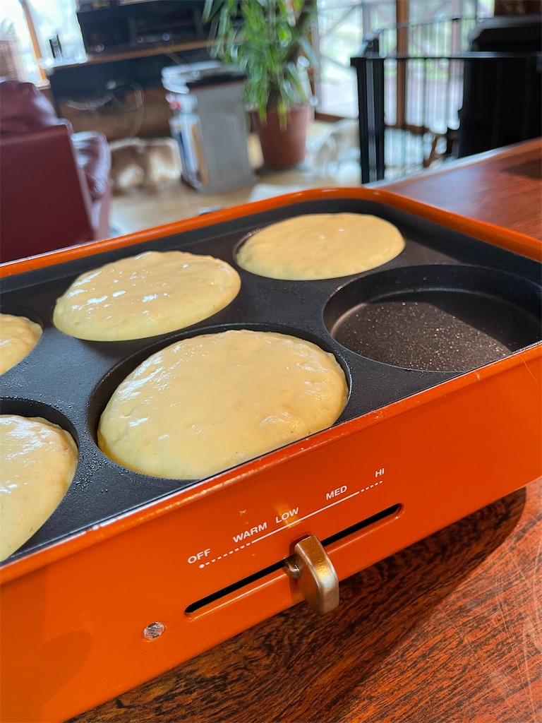 f:id:captaindog082:20210507172204j:image