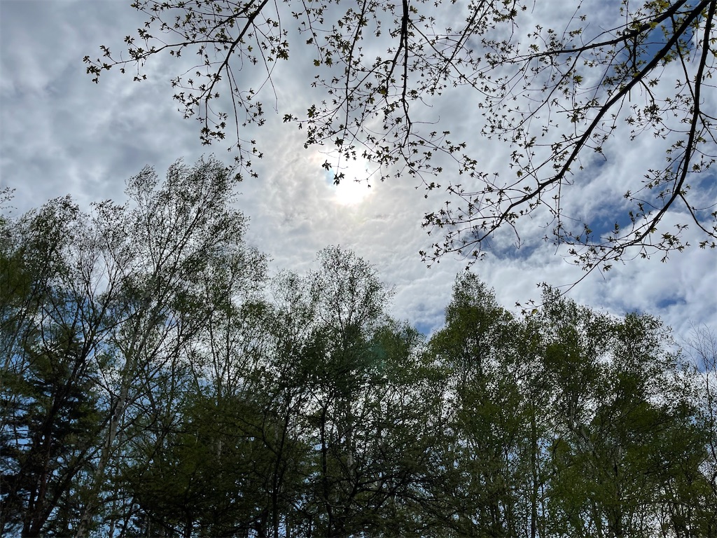 f:id:captaindog082:20210513211702j:image