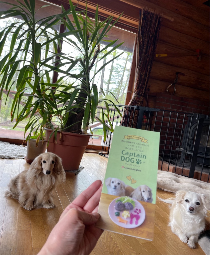 f:id:captaindog082:20210516140639j:image