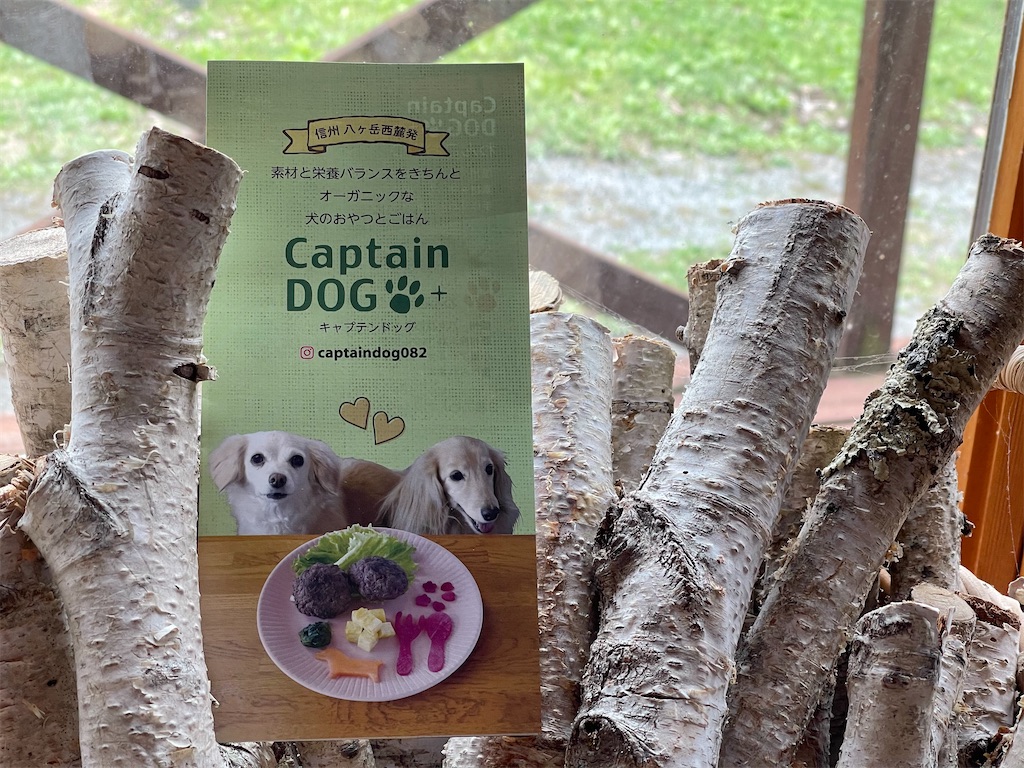 f:id:captaindog082:20210516140643j:image