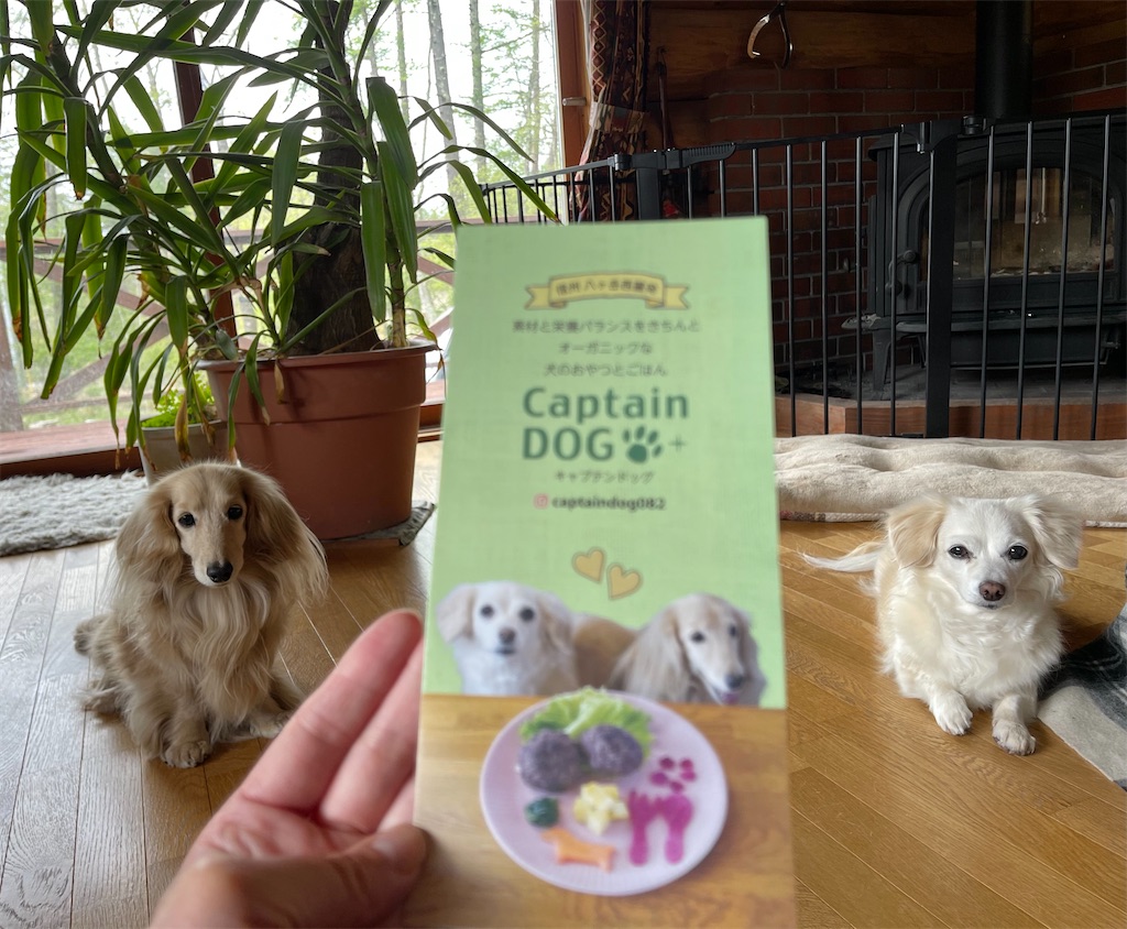 f:id:captaindog082:20210516140646j:image