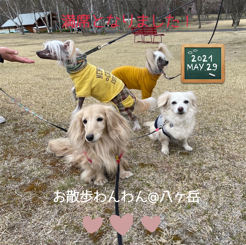 f:id:captaindog082:20210517184705j:image