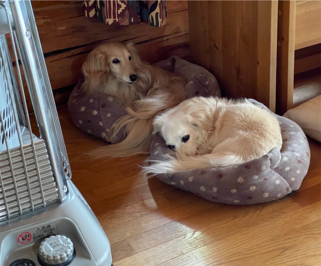 f:id:captaindog082:20210518133552j:image