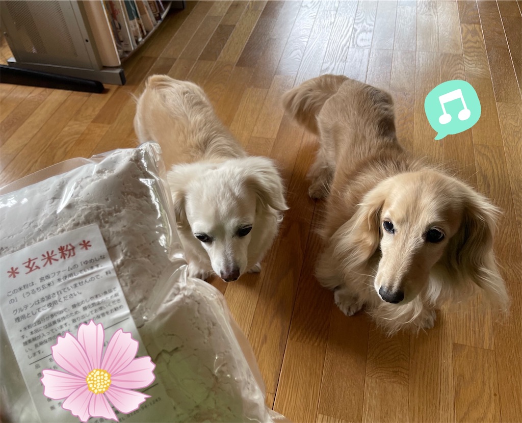 f:id:captaindog082:20210519210220j:image