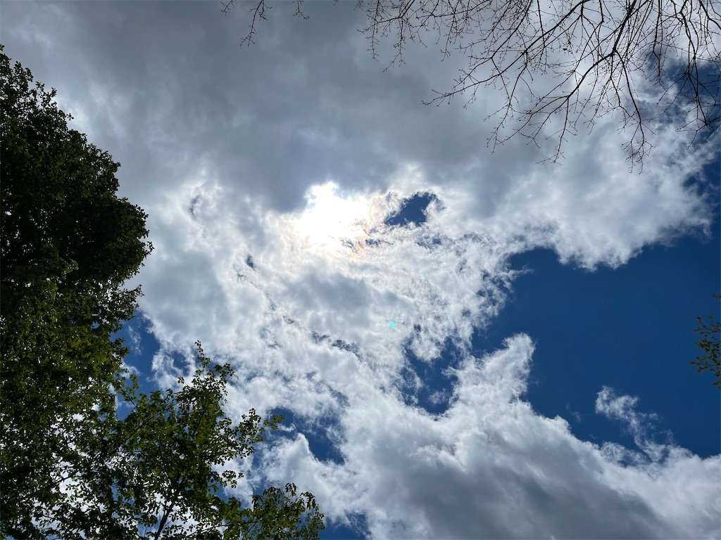 f:id:captaindog082:20210523175646j:image